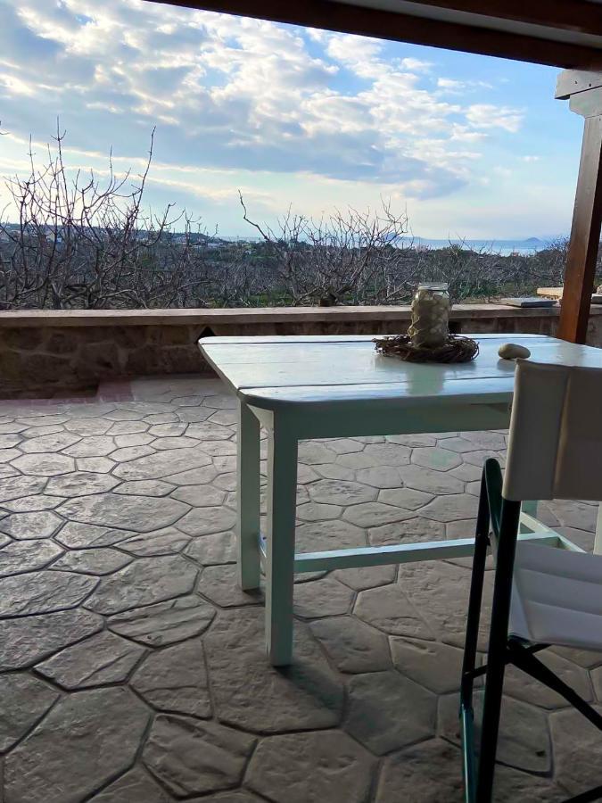 Pistachio Guesthouse, Παραδοσιακός Ξενώνας Vathí Eksteriør bilde