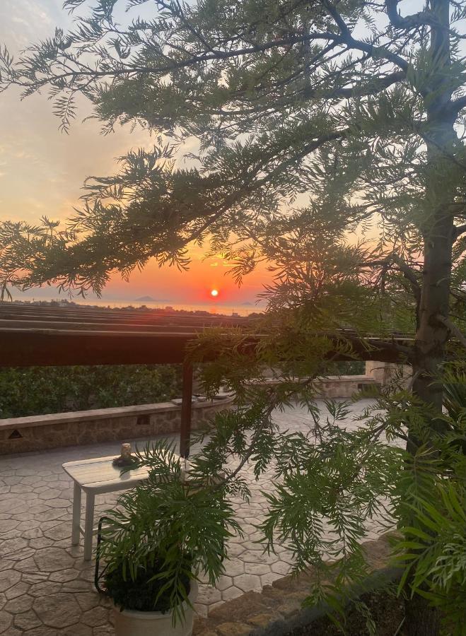 Pistachio Guesthouse, Παραδοσιακός Ξενώνας Vathí Eksteriør bilde